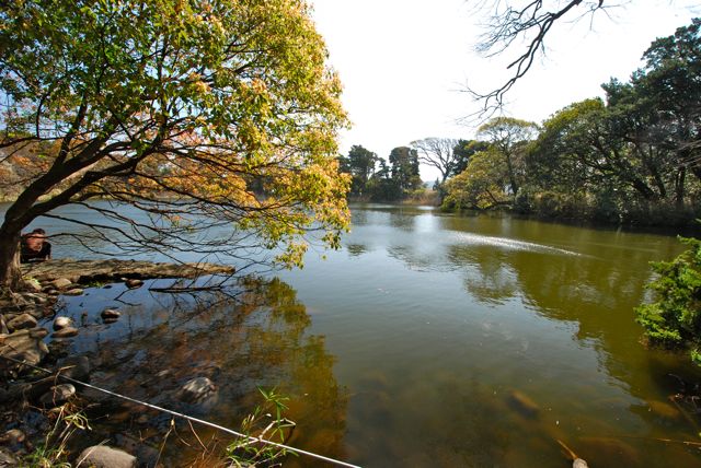 DSC_9769_2 DSC_9769_2