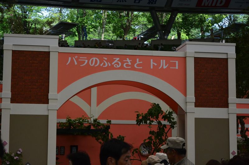 DSC_1218 DSC_1218