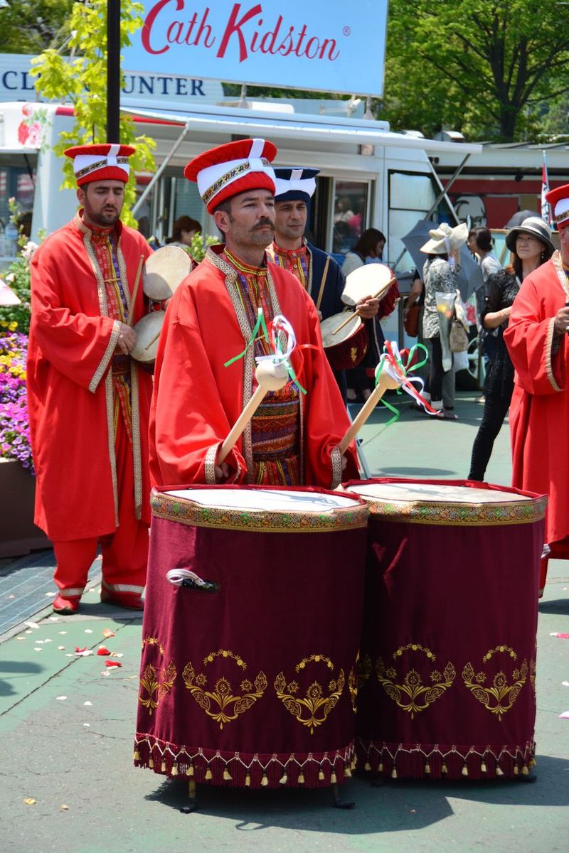 DSC_0824 DSC_0824