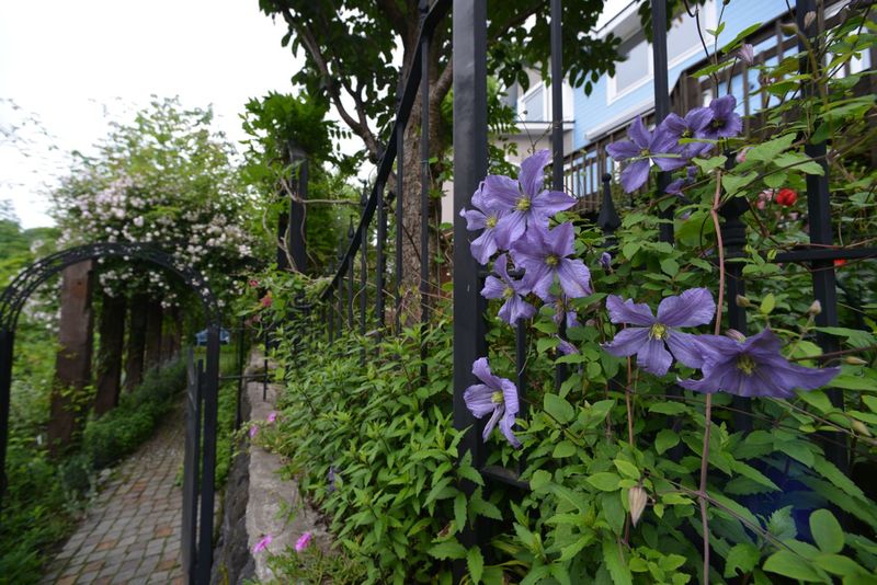 DSC_2570 DSC_2570