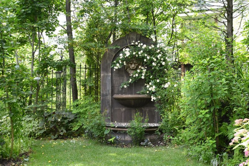 DSC_2532 DSC_2532