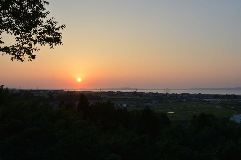 DSC_3785 DSC_3785