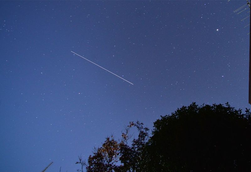 DSC_4339 DSC_4339
