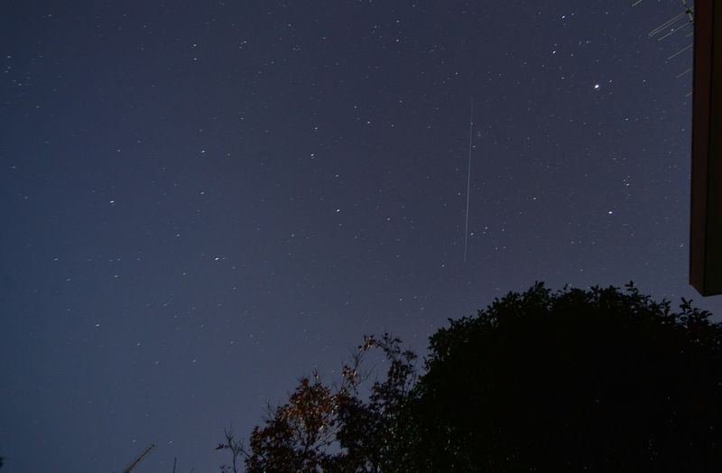 DSC_4336 DSC_4336
