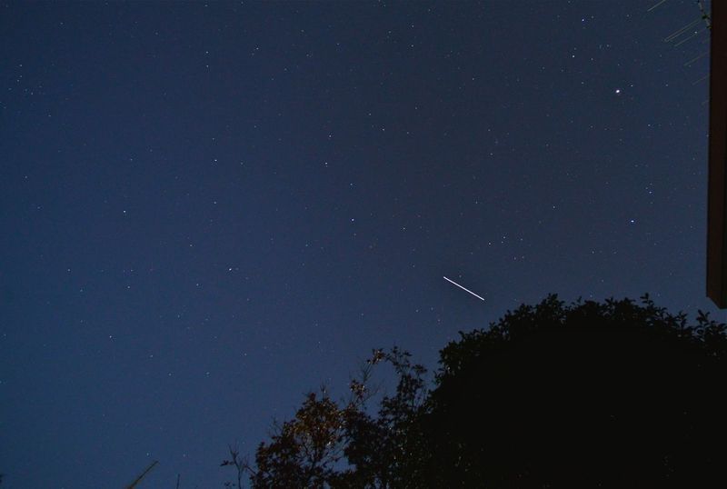 DSC_4338 DSC_4338