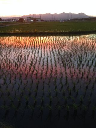 IMG_5341